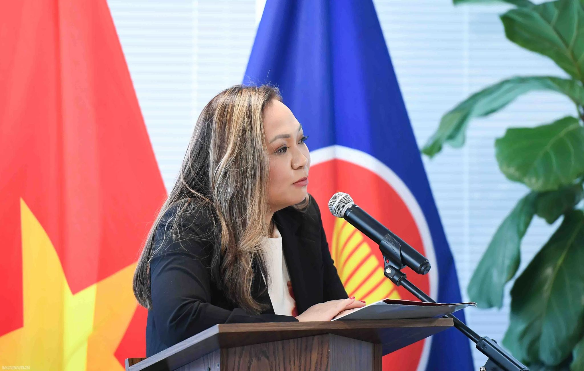 Speaker addressing VietChallenge audience